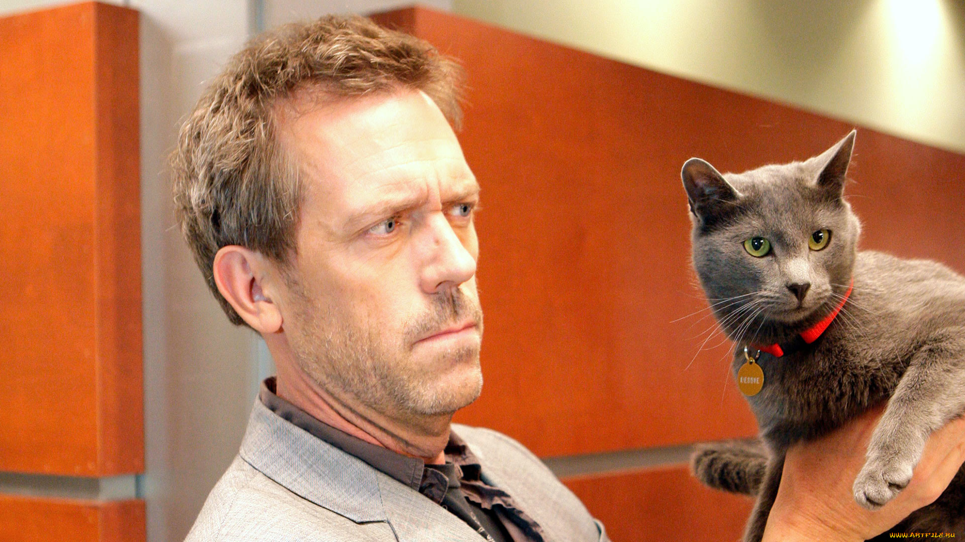 , hugh laurie, , , 